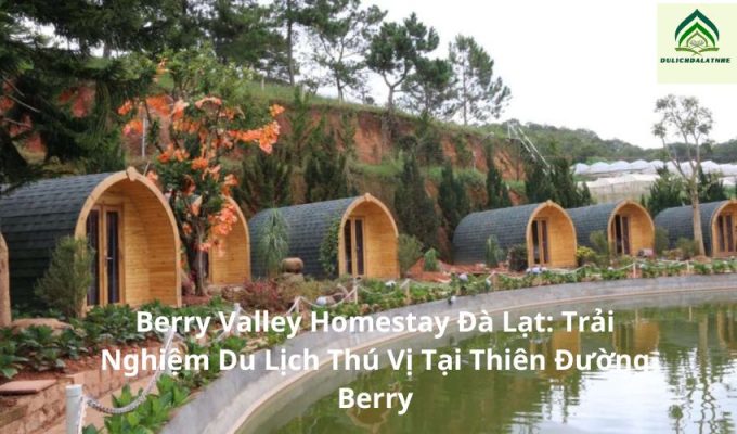 Berry Valley Homestay Đà Lạt: Trải Nghiệm Du Lịch Thú Vị Tại Thiên Đường Berry