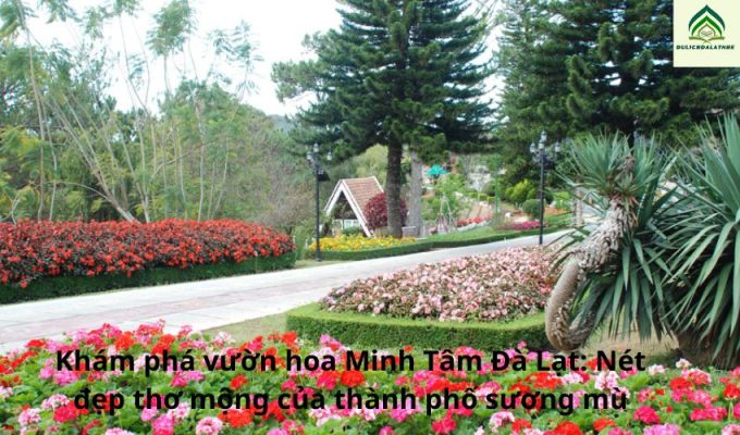 Khám phá vườn hoa Minh Tâm Đà Lạt: Nét đẹp thơ mộng của thành phố sương mù