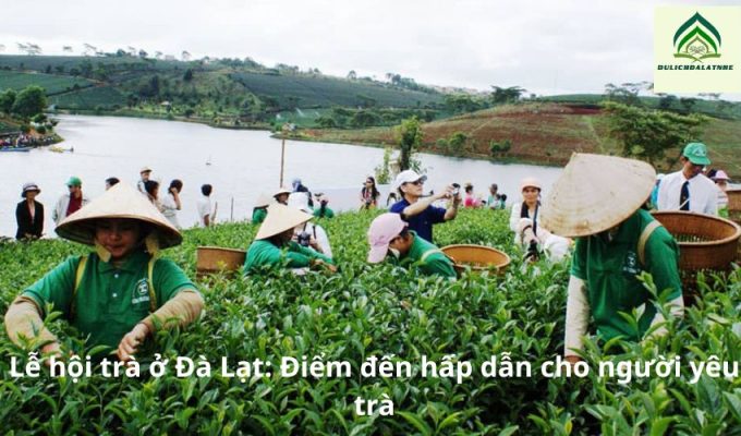 Lễ hội trà ở Đà Lạt: Điểm đến hấp dẫn cho người yêu trà