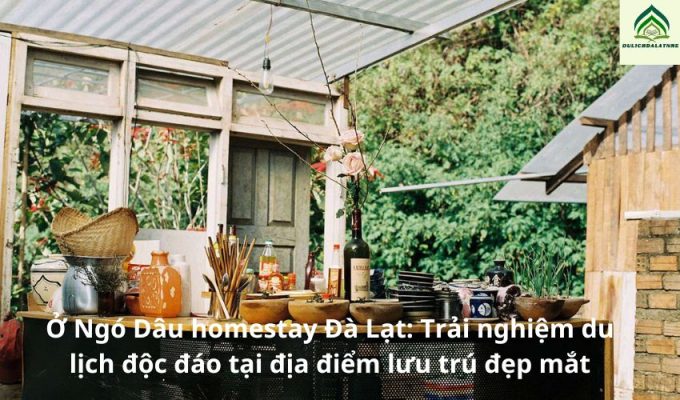 Ở Ngó Dâu homestay Đà Lạt: Trải nghiệm du lịch độc đáo tại địa điểm lưu trú đẹp mắt